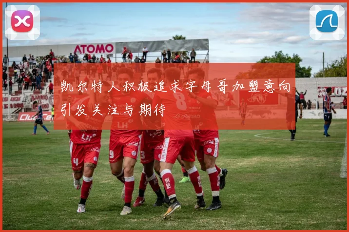 凯尔特人积极追求字母哥加盟意向引发关注与期待